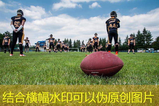 cassino jogo bixo cassino jogo bixo