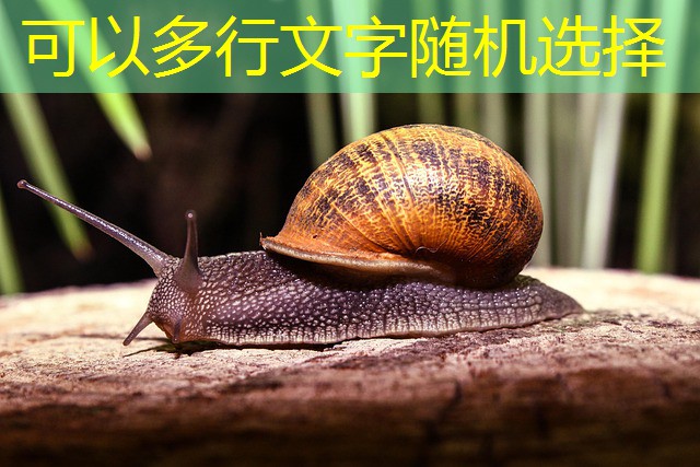 cassino jogo da velha cassino jogo da velha