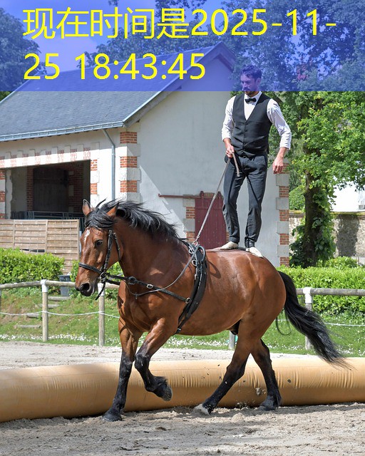 software de jogos de cassino