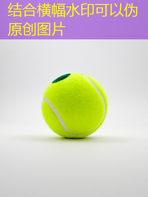 jogo de cassino do coelho jogo de cassino do coelho