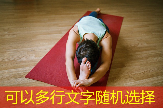 software de jogos de cassino