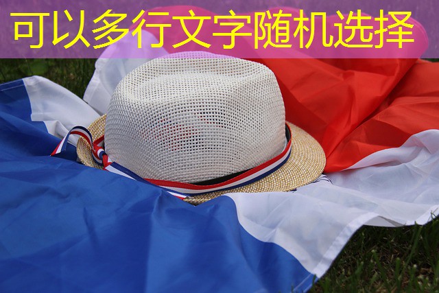 cassino jogo bixo cassino jogo bixo