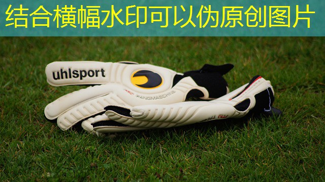 legalização jogos cassino parana