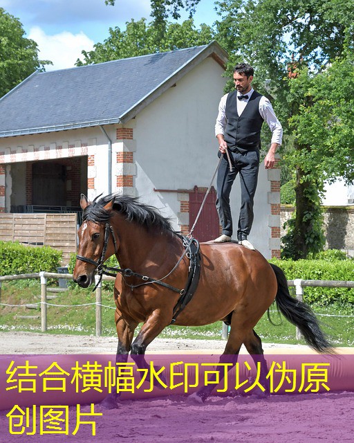 jogos cassinos bet 365