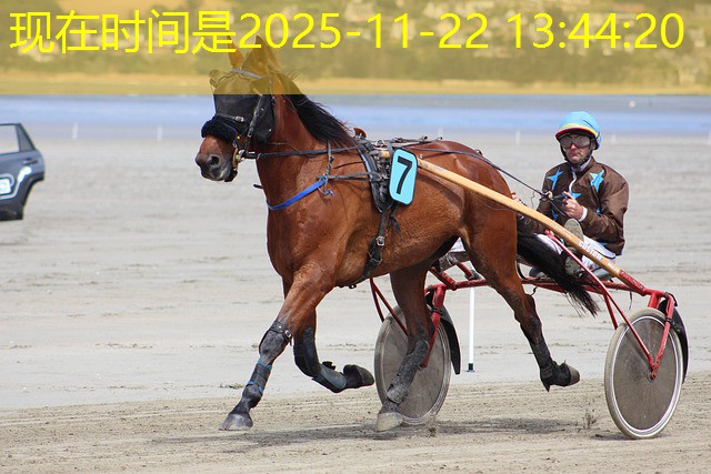 jogo de cassino em portugues