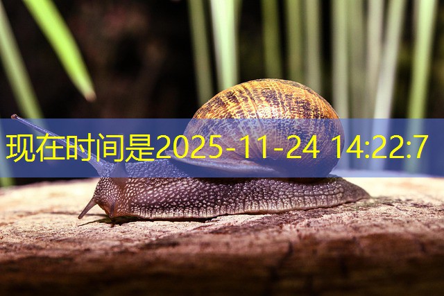 qual o melhor horário para jogar cassino