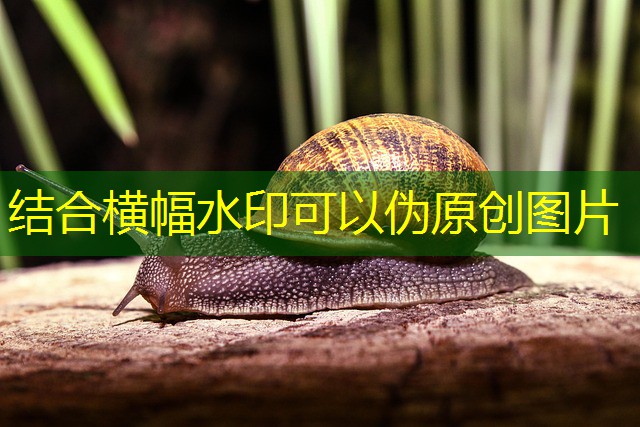 jogos de cassino que ganha dinheiro de verdade jogos de cassino que ganha dinheiro de verdade