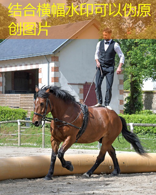 quais são os jogos que tem em um cassino quais são os jogos que tem em um cassino