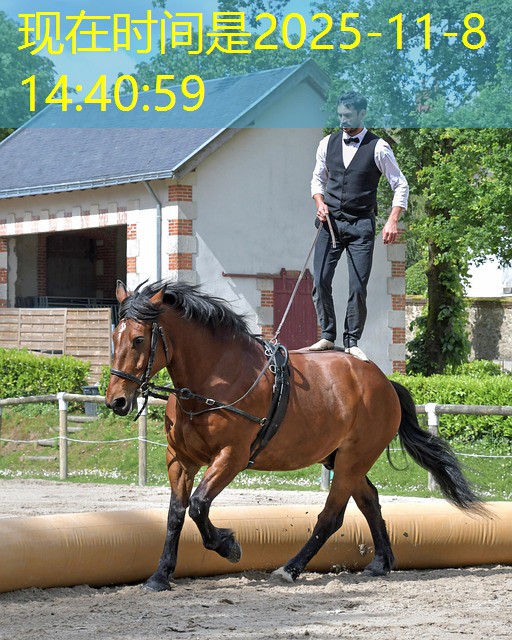 festa cassino a vida e um jogo festa cassino a vida e um jogo