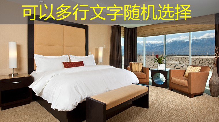 beto pizzas beto pizzas